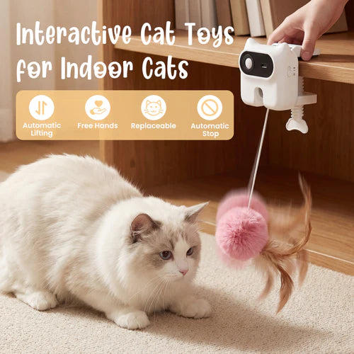 Cat playing with an interactive toy on a carpeted floor at Pet Servo