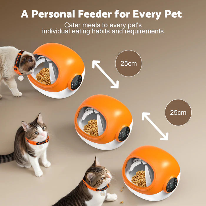 Buy Advwin - RFID Microchip Automatic Cat Feeder with Collar at Pet Servo