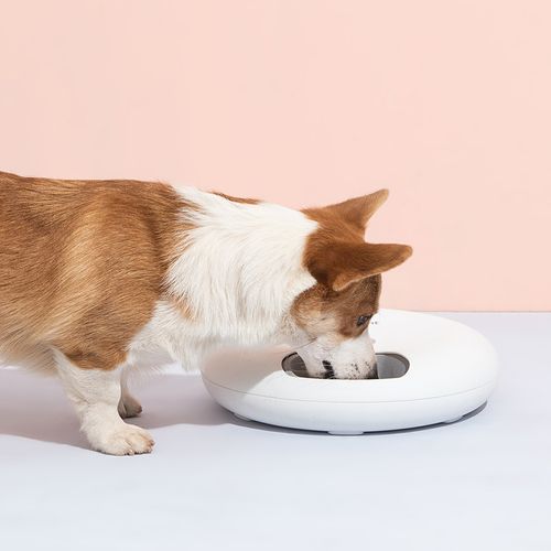 YES4PETS 6-Meal Automatic Pet Feeder with Timer - Pink - Pet Servo