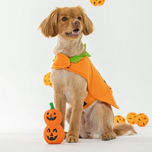 Buy Happy Tails Latex Jack-O-Lantern Dog Toy at pet Servo-3