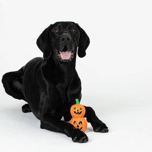 Buy Happy Tails Latex Jack-O-Lantern Dog Toy at pet Servo-2