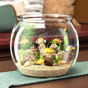 Small fish tank with fish and aquatic plants on a table at Pet Servo
