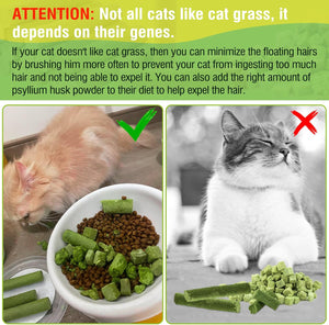 Informational graphic about cat grass with images of cats and text on a green background at Pet Servo