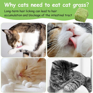 Collage of cats eating cat grass with text explaining its benefits at Pet Servo