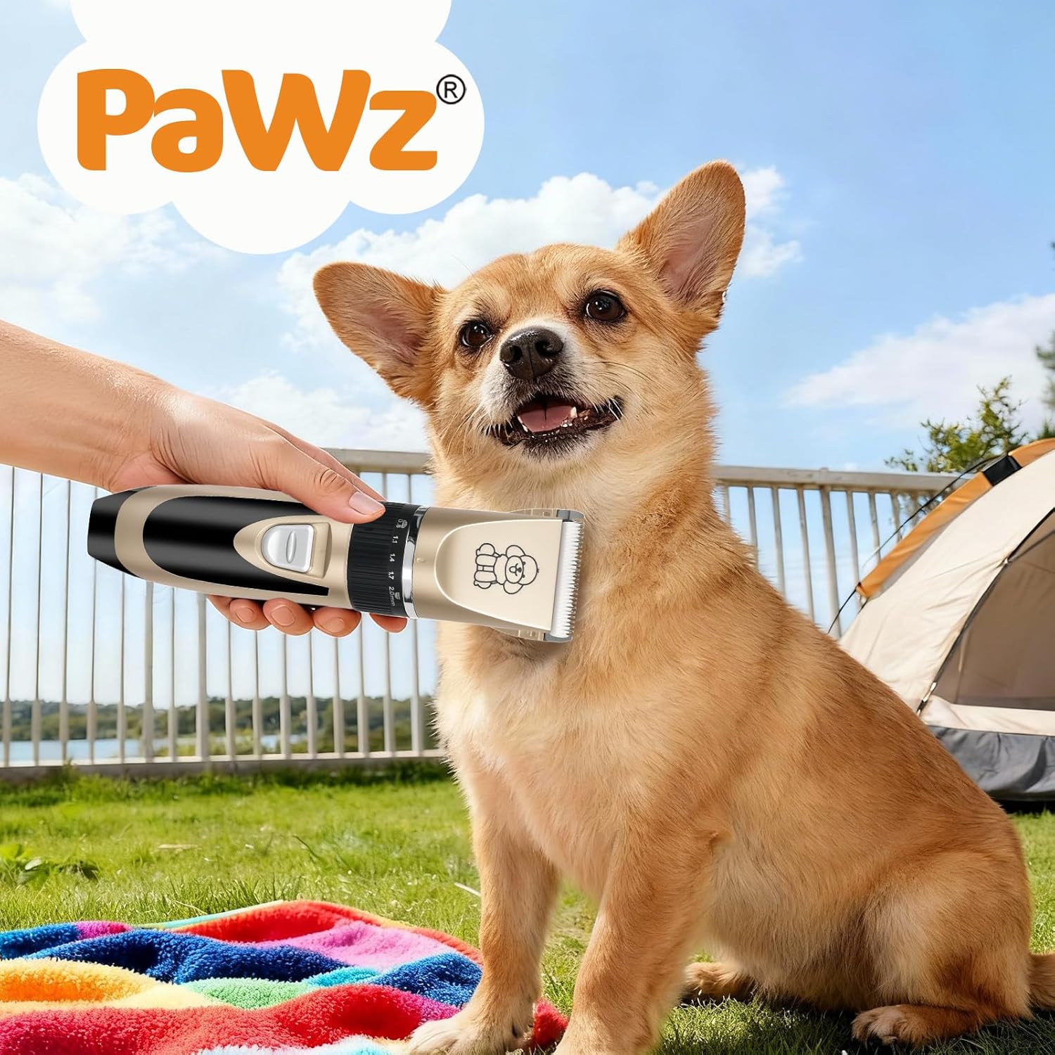 A small tan dog sitting on grass outdoors while a human hand holds a black and silver pet clipper toward its neck. The background shows blue sky, a fence, some trees, and part of a tent at Pet Servo