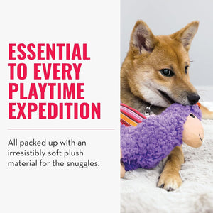 Dog playing with a purple plush toy on a white background, with text about playtime and plush material at Pet Servo