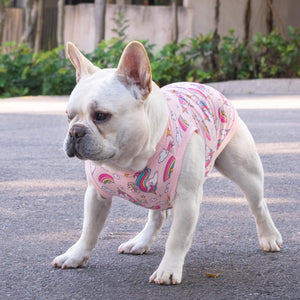 A white French Bulldog standing on an asphalt surface wearing a pink pet harness with a colorful rainbow and unicorn pattern at Pet Servo