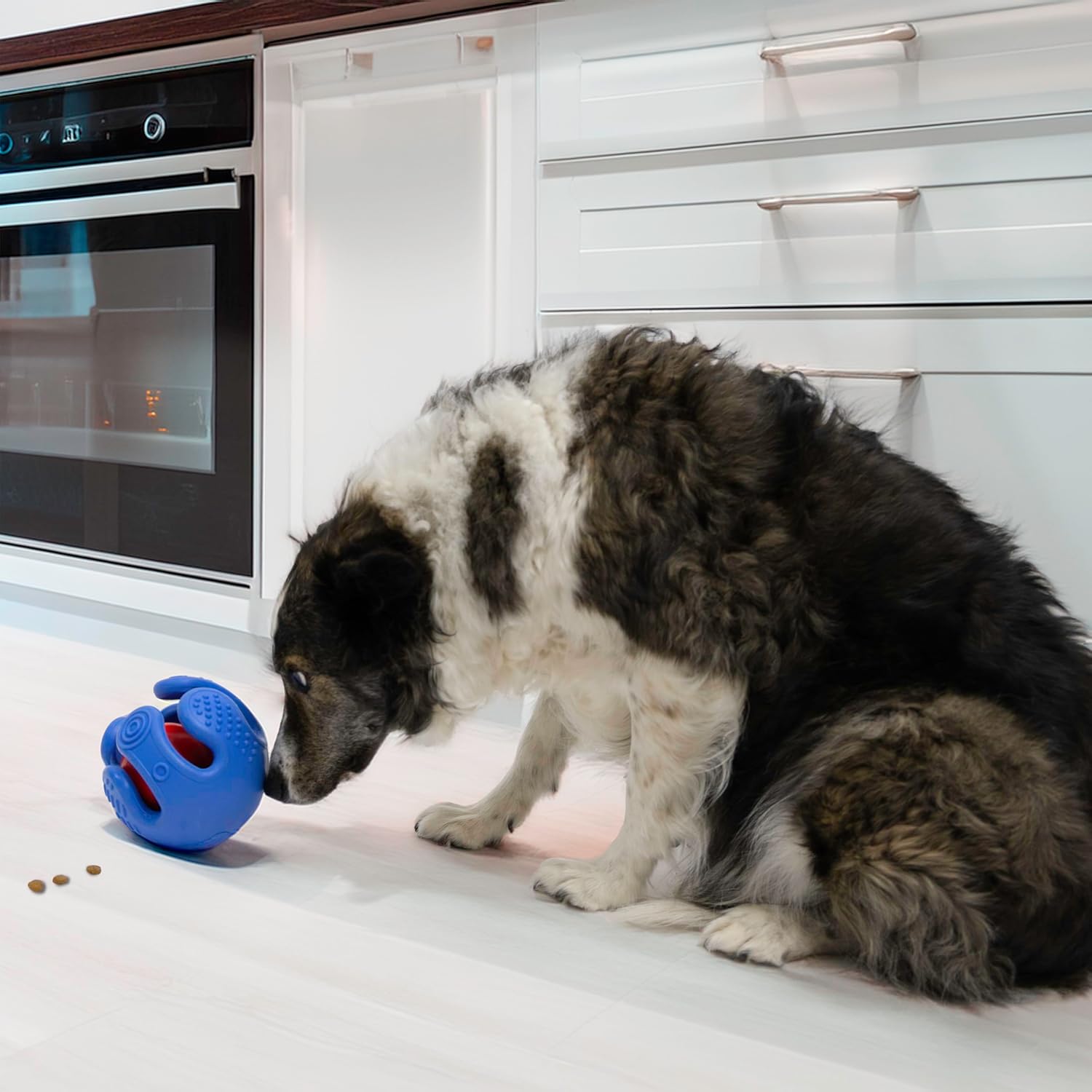 Dog playing with a blue toy on a kitchen counter at Pet Servo
