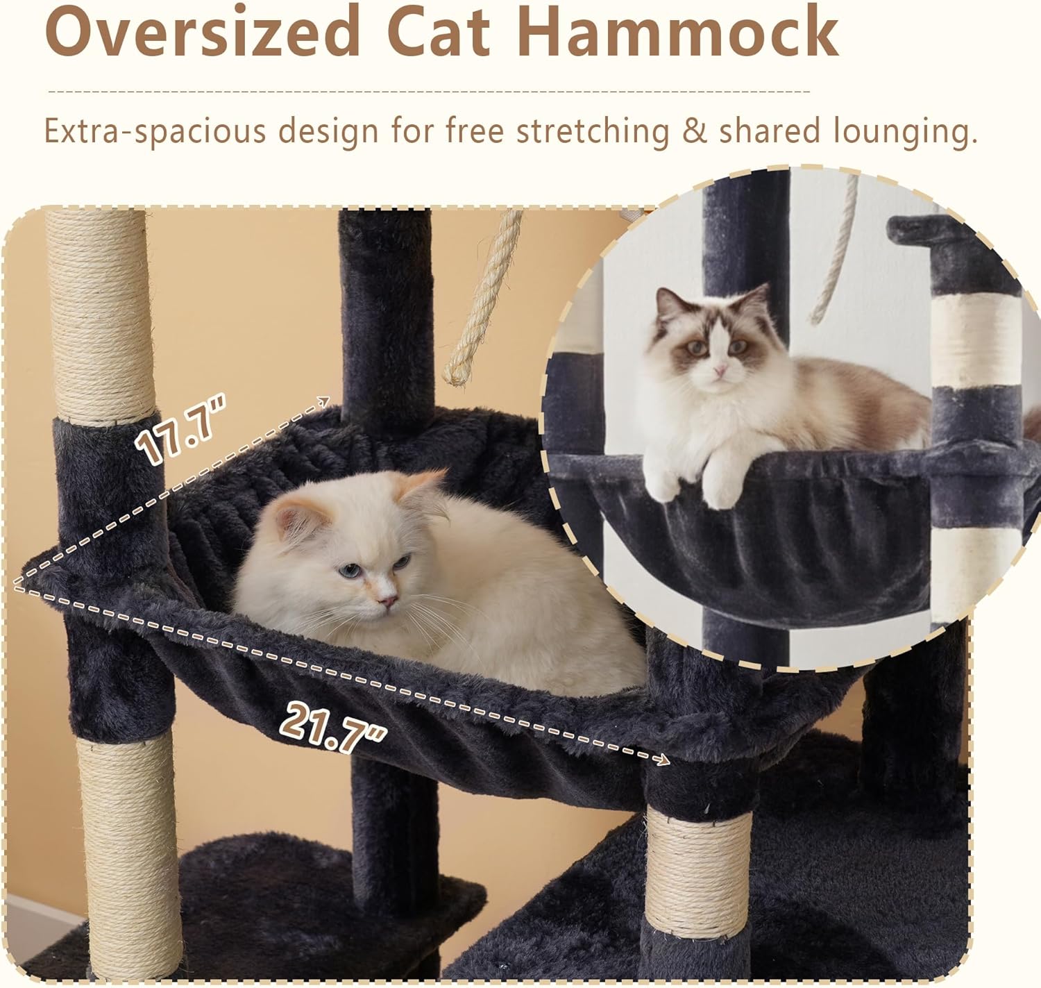 Cat hammock with two cats inside, featuring measurements and a beige background at Pet Servo