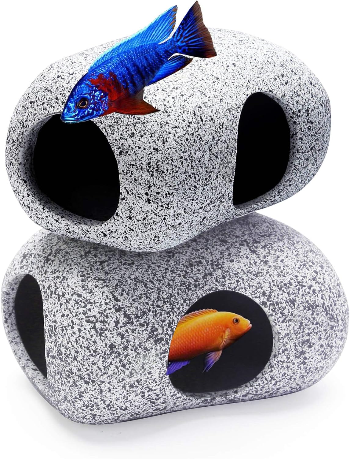 Two gray aquarium rocks with circular holes, each featuring a colorful fish illustration on a white background at Pet Servo