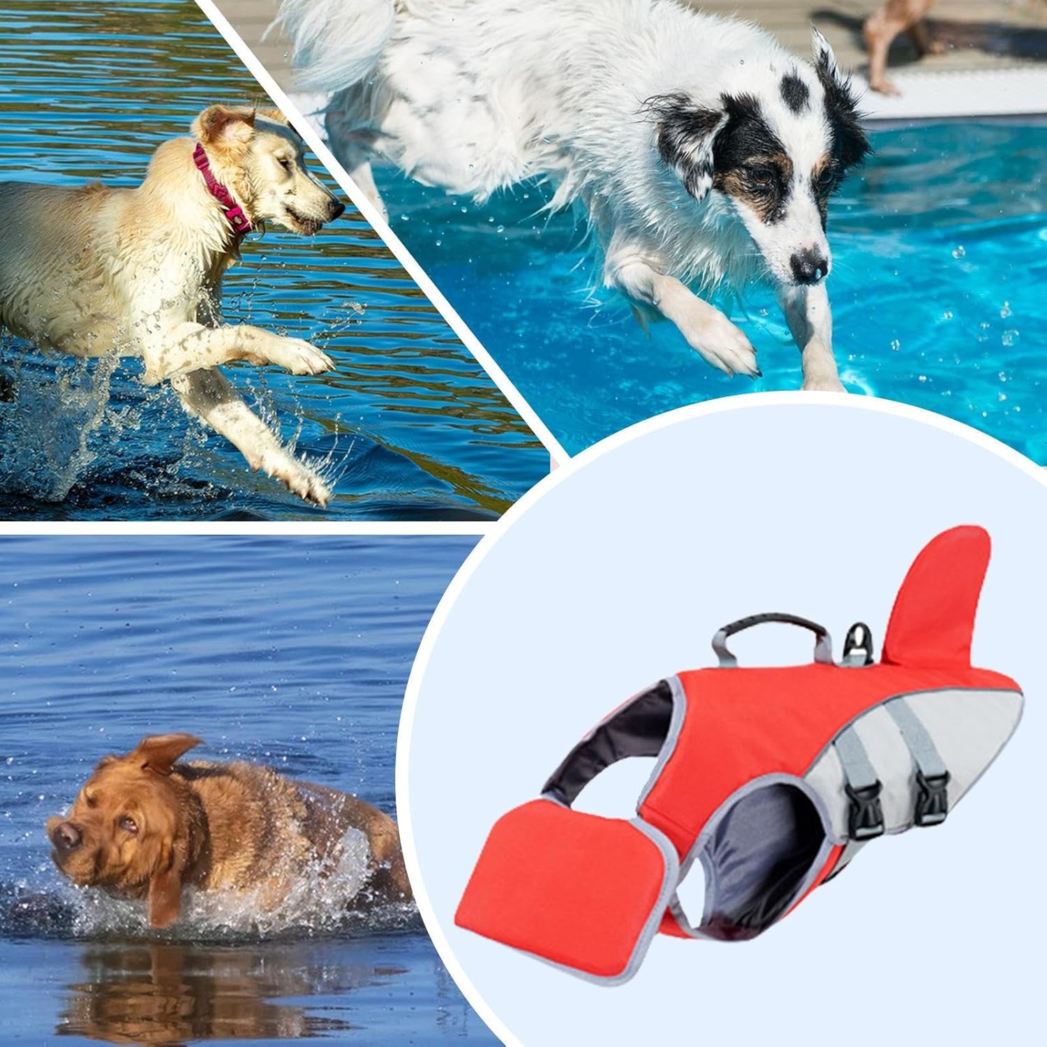 Collage of dogs playing in water with a close-up of a red and gray dog life jacket at Pet Servo