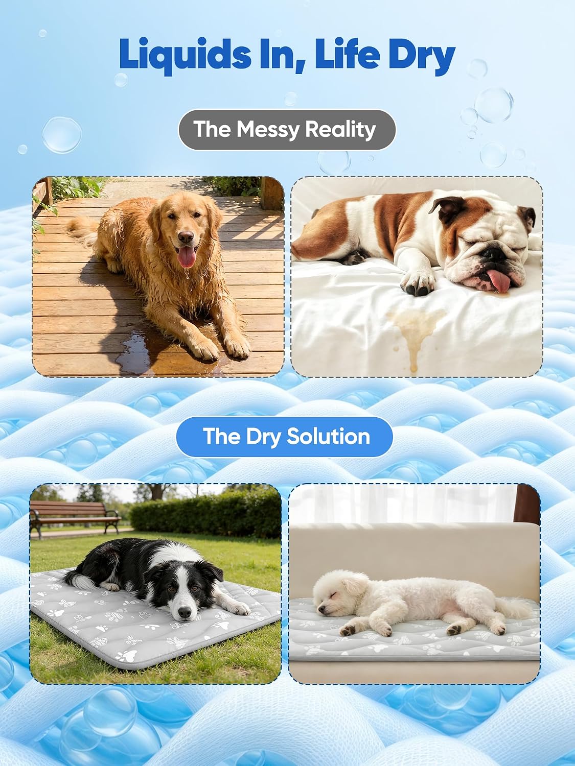 Promotional graphic for a product solution for wet pets with images of dogs and text 'Liquids In, Life Dry'.