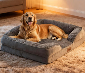 Dog lying on a large gray pet bed in a home setting