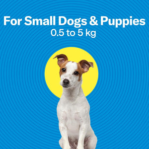 Dog on a blue background with text for small dogs and puppies at Pet Servo