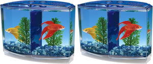 Two small aquariums with fish and plants on a white background at Pet Servo