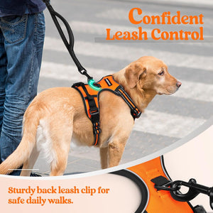 Rabbitgoo - Outdoor Adjustable Pet Harness (Orange) at Pet Servo