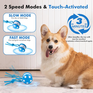 Dog playing with a blue toy, with text about 2 speed modes and touch-activated feature at Pet Servo