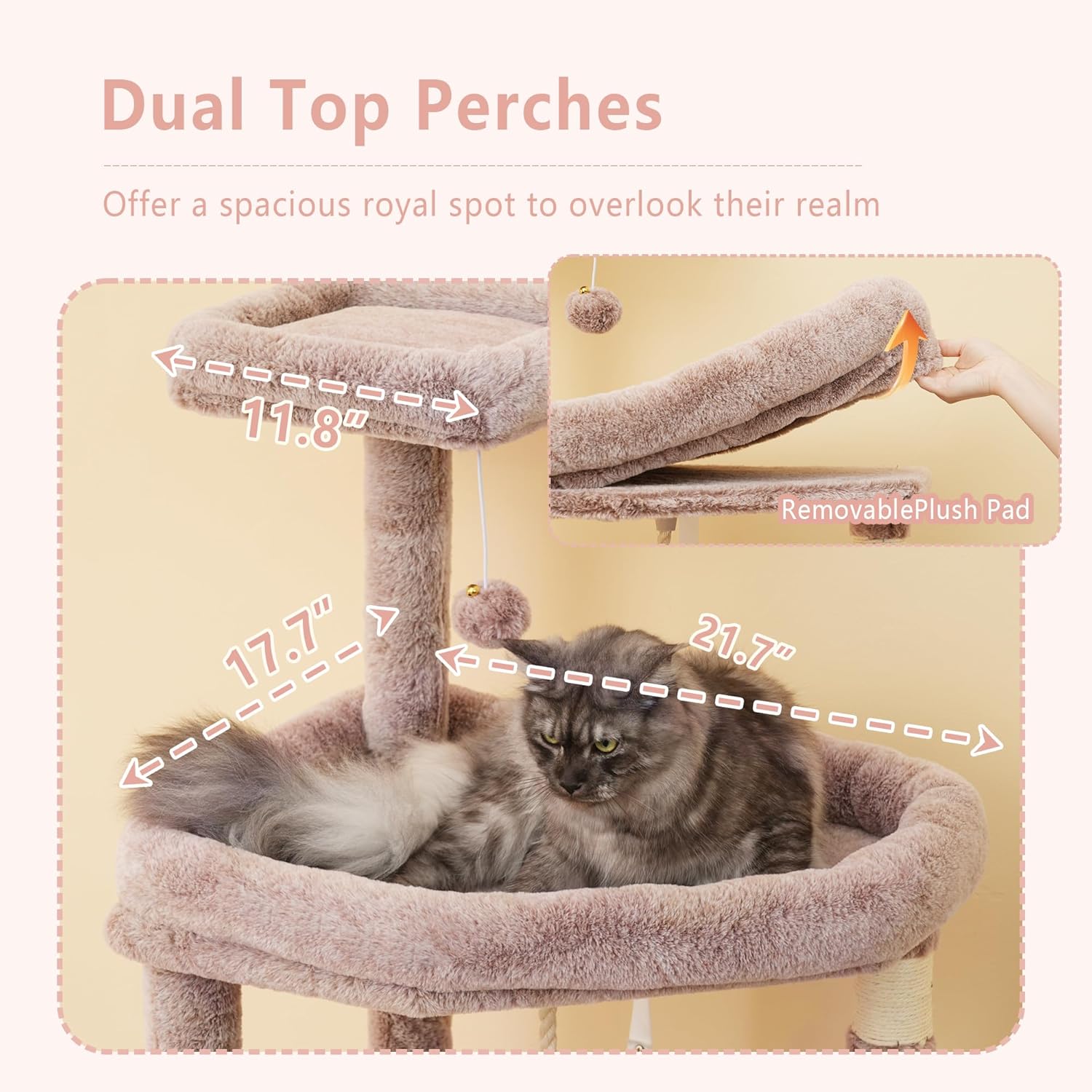 Cat sitting on a dual-top perches with measurements and text on a beige background at Pet Servo