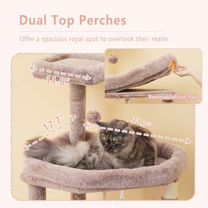 Cat sitting on a dual-top perches with measurements and text on a beige background at Pet Servo