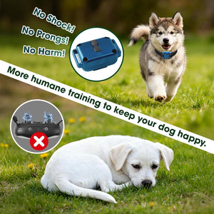Two dogs on grass with a blue electronic device and text about humane dog training at Pet Servo