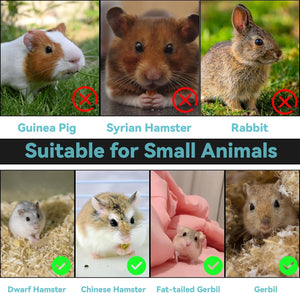 Comparison of suitable and unsuitable small animals for a pet setup, with text and images at Pet Servo