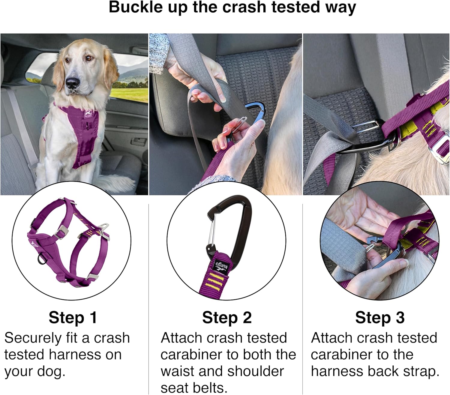 Steps to use a crash-tested dog harness and carabiner in a vehicle at Pet Servo