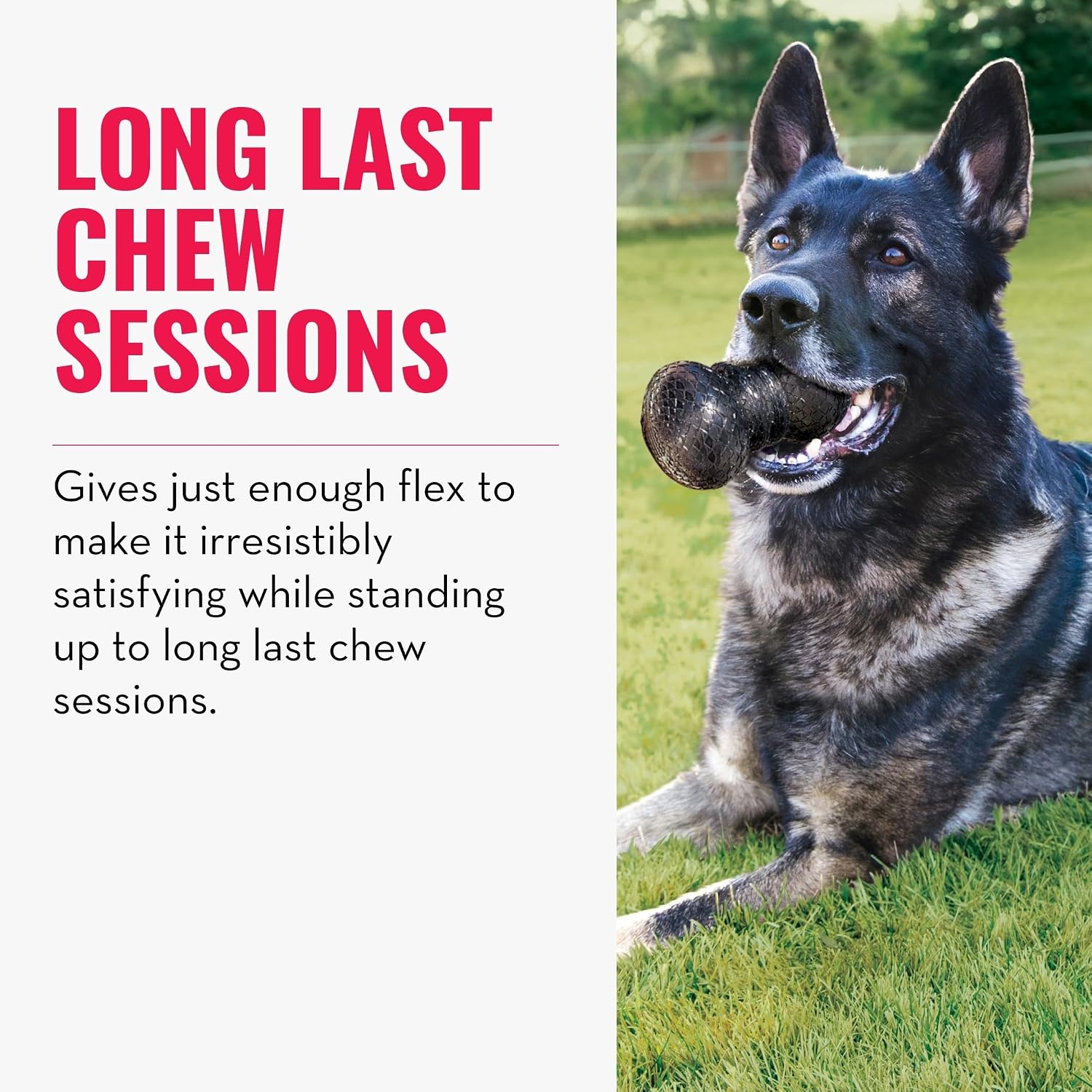 Promotional graphic for dog chew sessions featuring a German Shepherd lying on grass with a dark round chew in its mouth. Large pink text reads 'LONG LAST CHEW SESSIONS' and smaller black text below describes the product benefit at Pet Servo