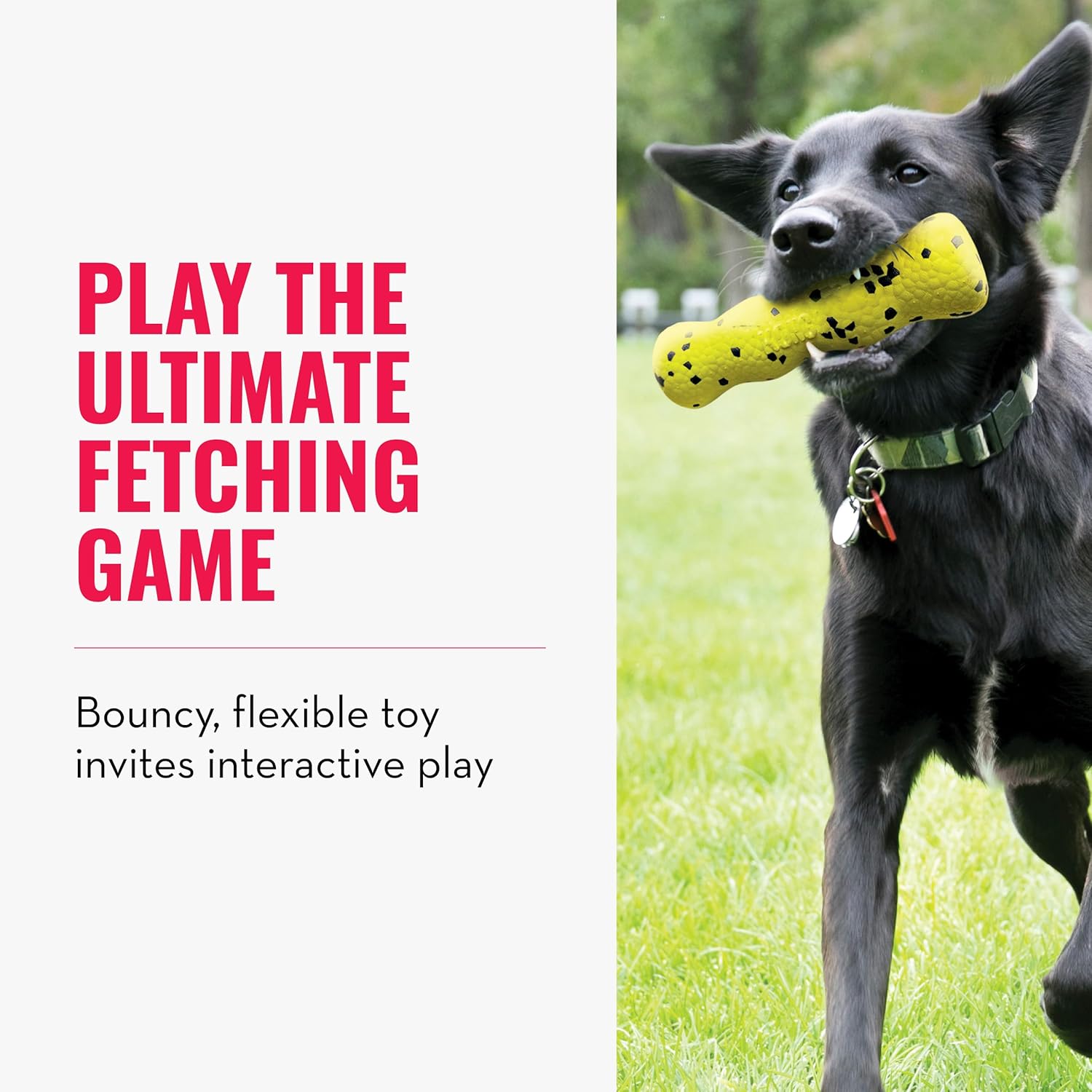 Dog playing with a yellow toy on grass, with promotional text about the toy at Pet Servo