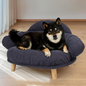 Dog lying on a dark blue pet bed with wooden legs in a room with light wood flooring and white curtains at Pet Servo