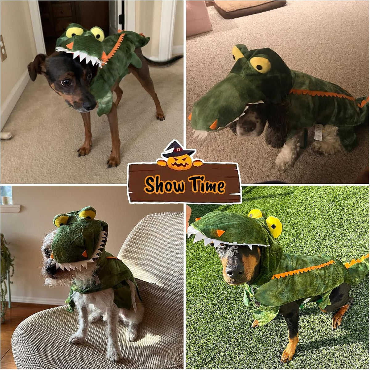 Dog wearing a green dinosaur costume in various settings with 'Show Time' branding.
