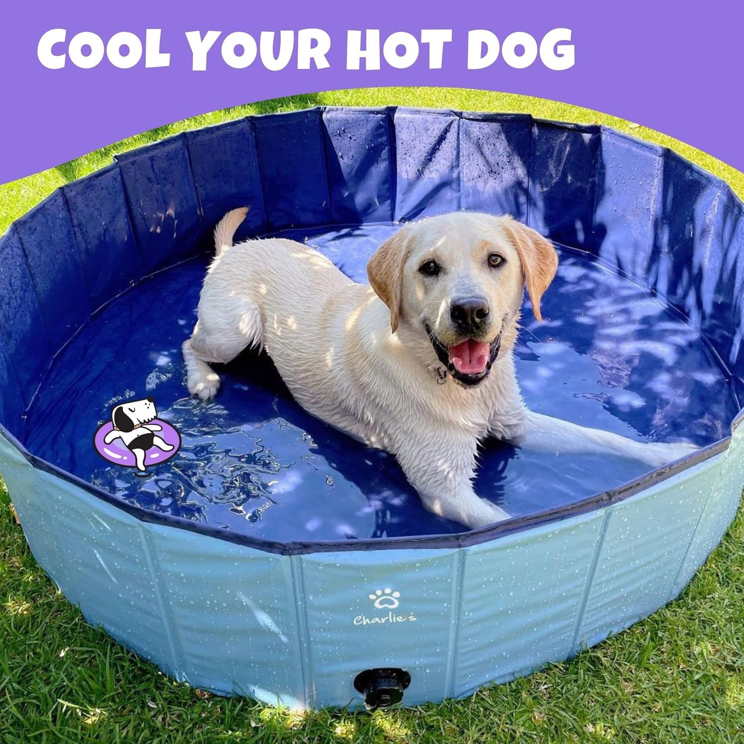 Dog cooling off in a portable pool with text 'Cool Your Hot Dog' on a purple background at Pet Servo