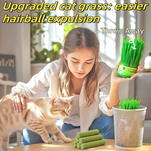 Woman with a cat and cat grass products in a home setting at Pet Servo