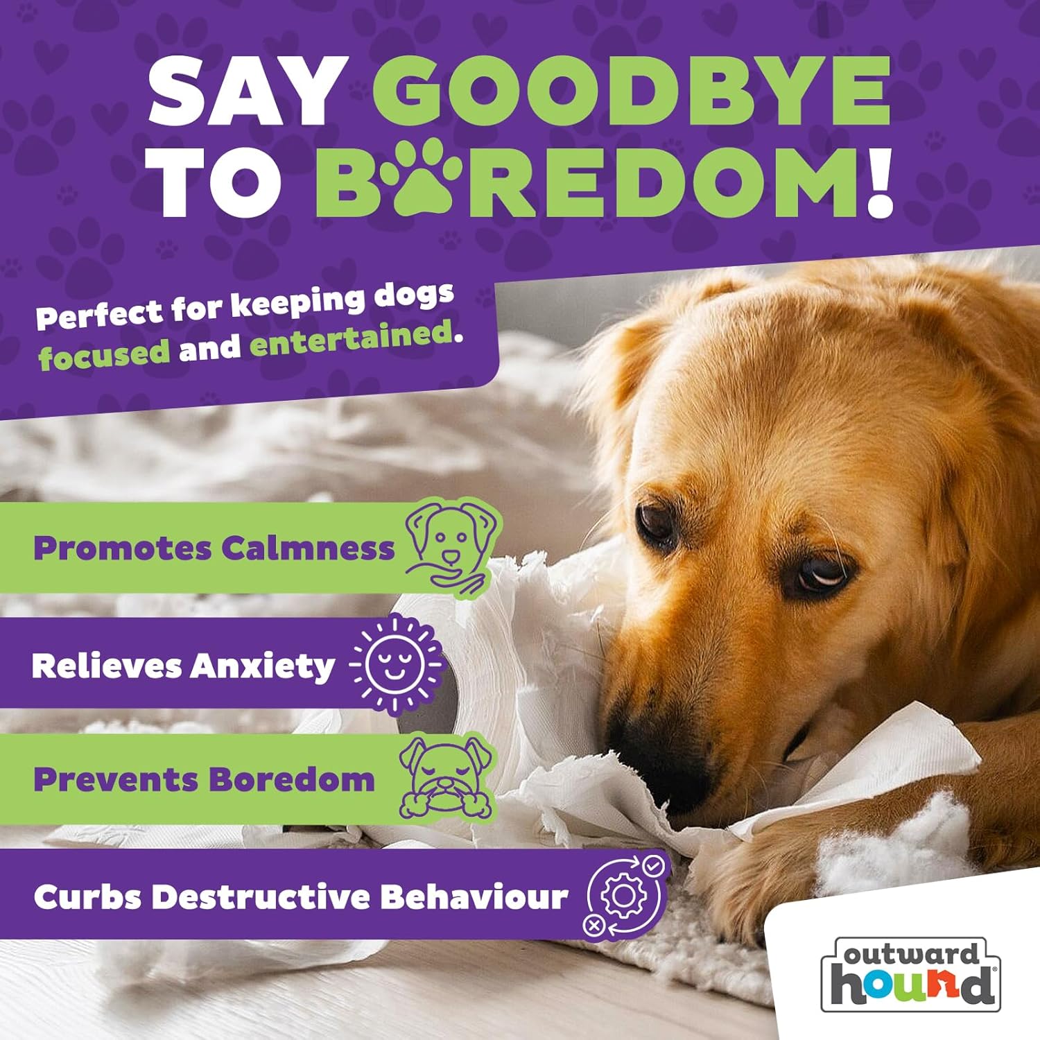 Dog chewing on a toy with promotional text about keeping dogs focused and entertained, featuring Outward Hound brand at Pet Servo