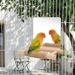 Two parrots on a wooden perch in a cage with a garden view at Pet Servo