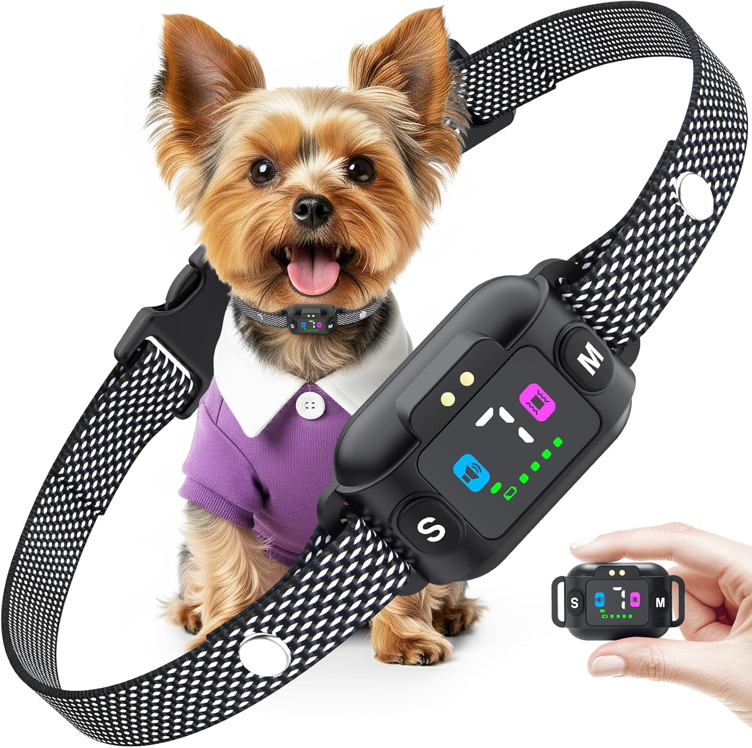 Dog wearing a black electronic collar with a remote control held by a hand on a white background at Pet Servo