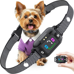 Dog wearing a black electronic collar with a remote control held by a hand on a white background at Pet Servo