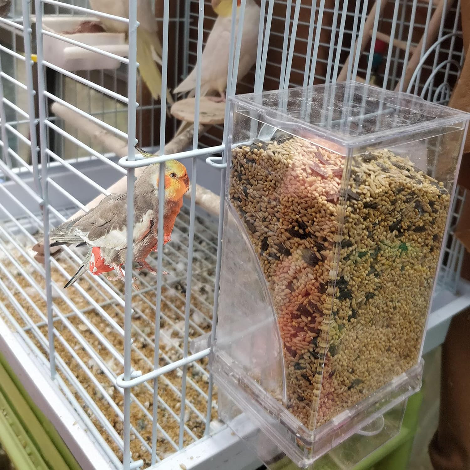 Bird in a cage with a transparent bird feeder filled with seeds at Pet Servo