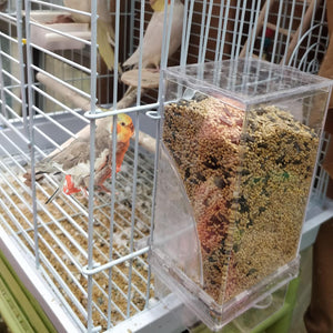 Bird in a cage with a transparent bird feeder filled with seeds at Pet Servo
