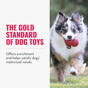 Dog running with a red ball, text about dog toys on the left at Pet Servo