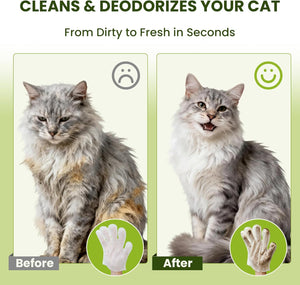 Before and after comparison of a cat with cleaning product, showing a dirty cat on the left and a clean cat on the right at Pet Servo