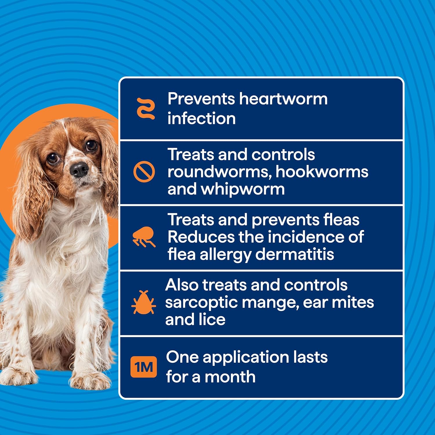 Dog with a list of pet care product benefits on a blue background at Pet Servo