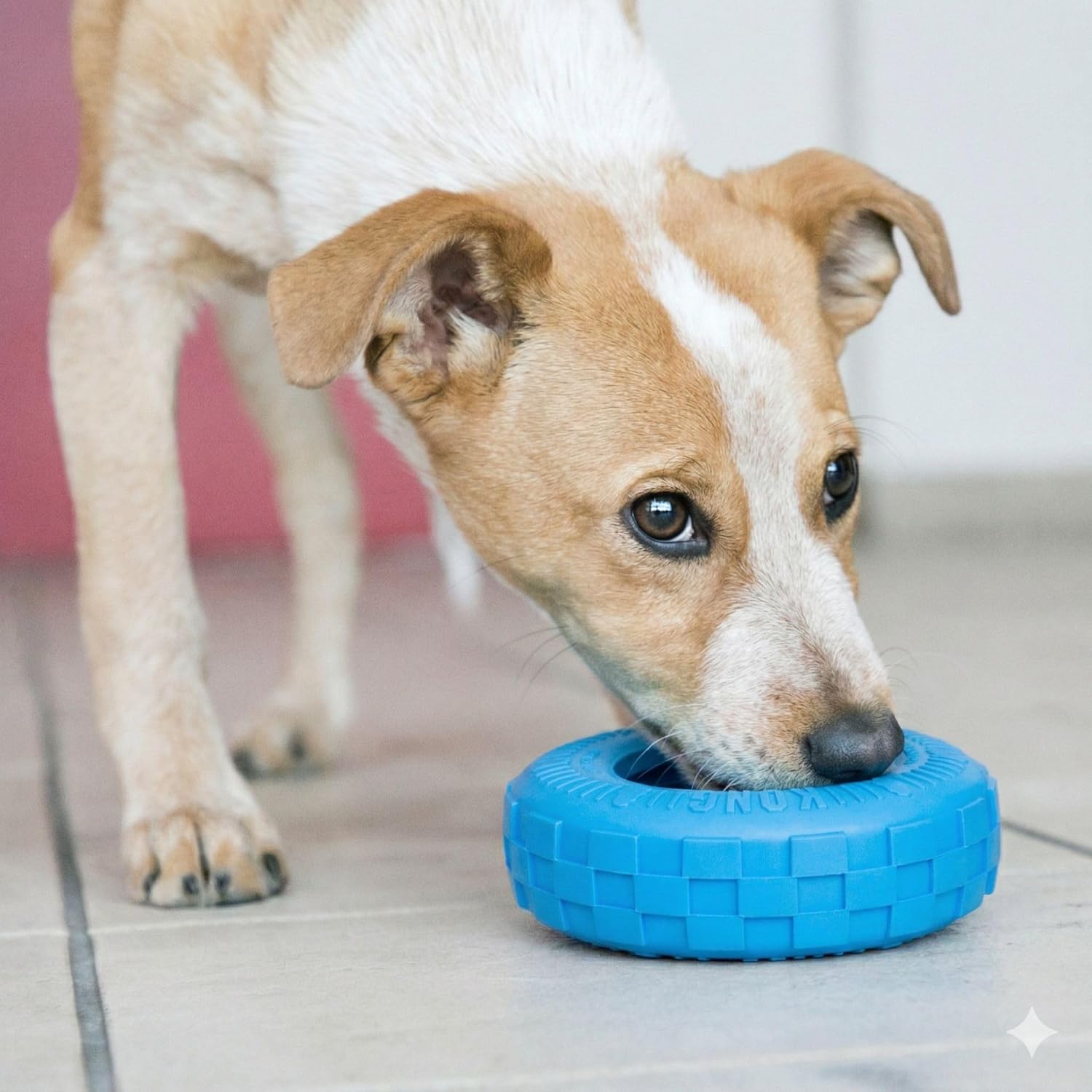 Dog playing with a blue rubber toy on a light-colored floor at Pet Servo