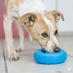 Dog playing with a blue rubber toy on a light-colored floor at Pet Servo