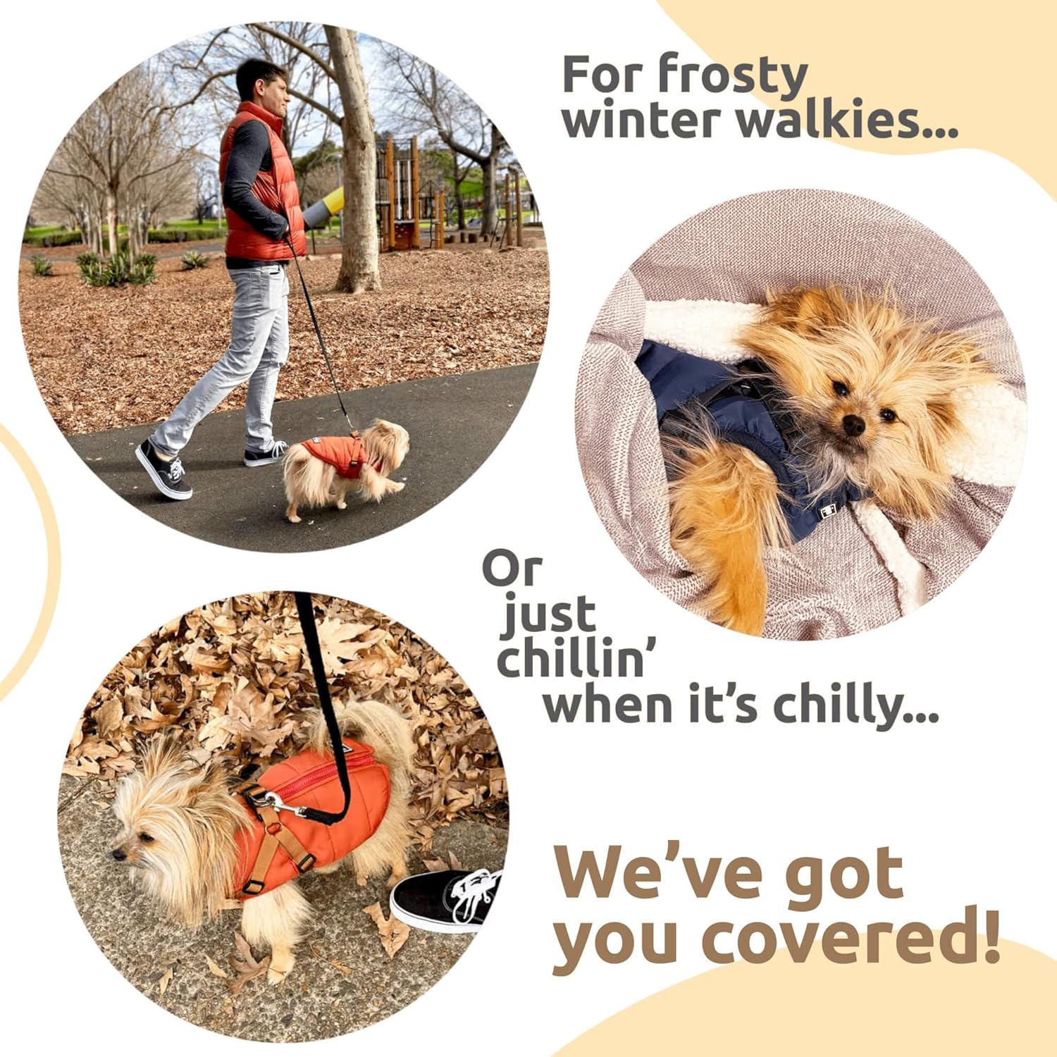 Puffer Jacket S-Snug – Warm & Windproof - Petservo