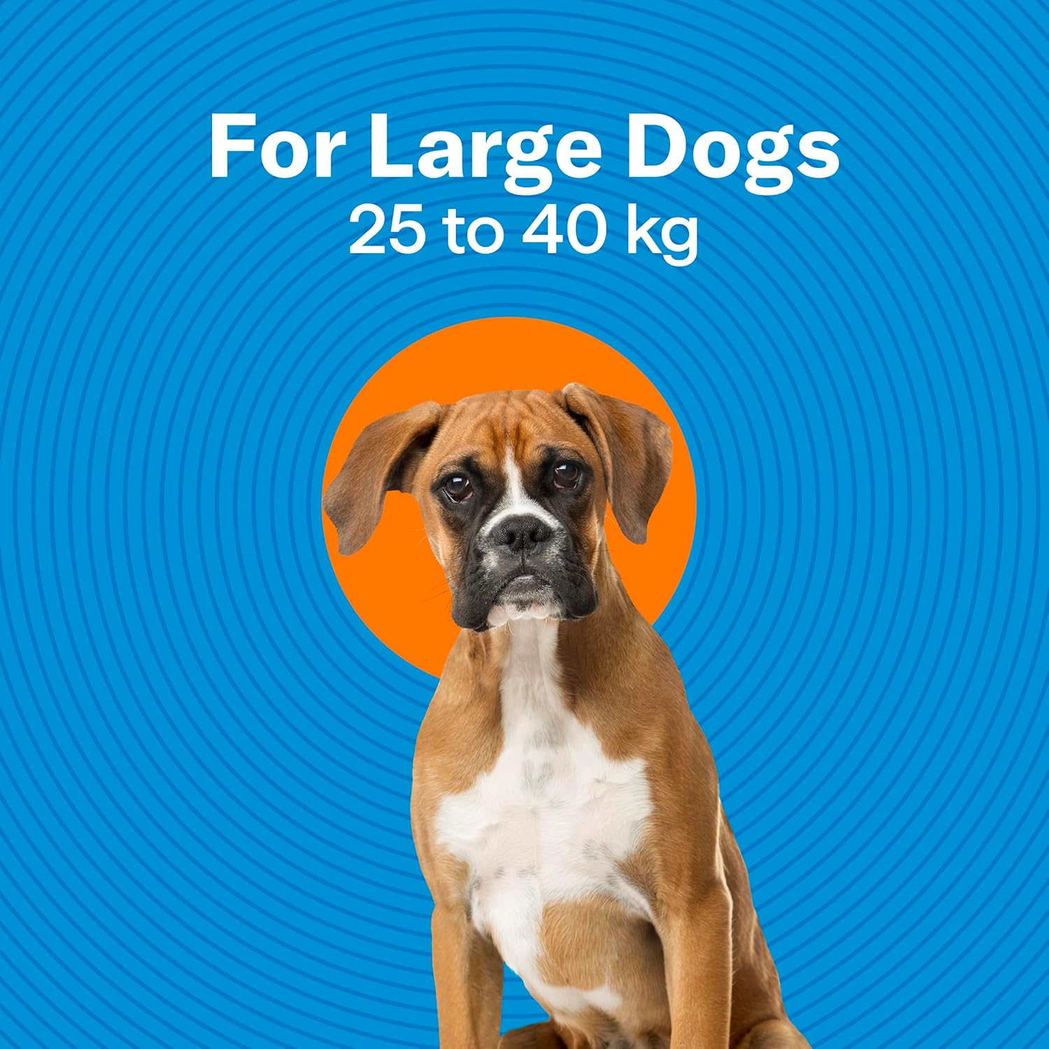 Dog on a blue background with text indicating weight range for large dogs at Pet Servo