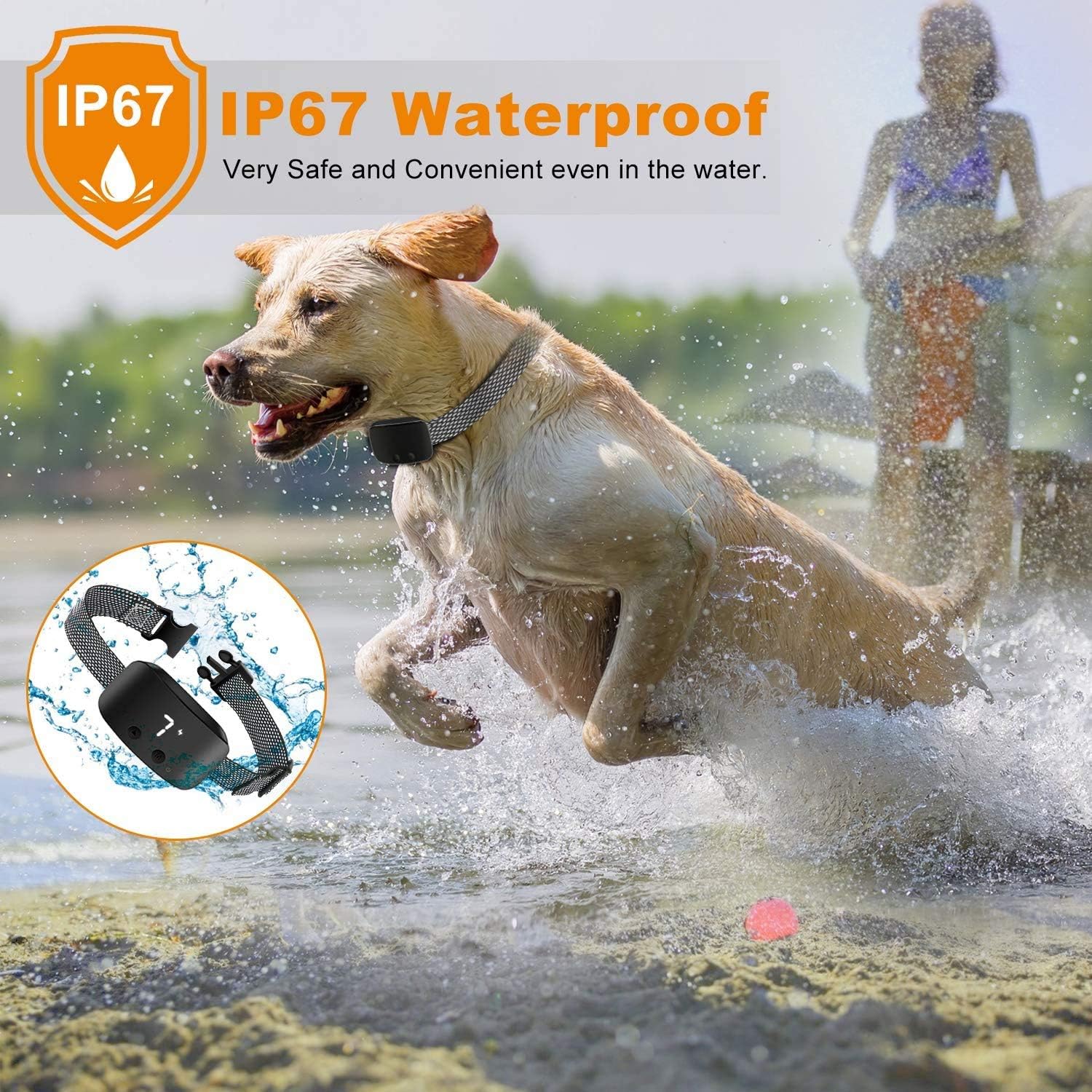Dog running in water with a waterproof dog collar, IP67 rating highlighted at Pet Servo