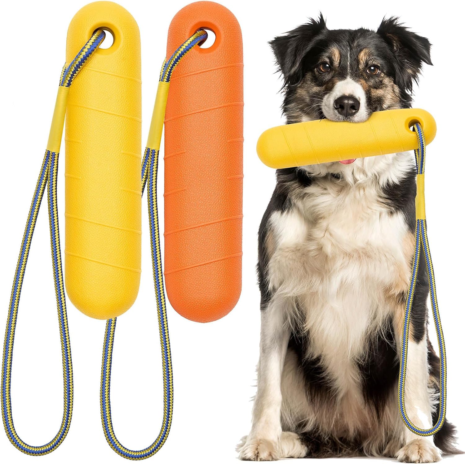 Dog holding a yellow dog toy with two additional toys on a white background at Pet Servo