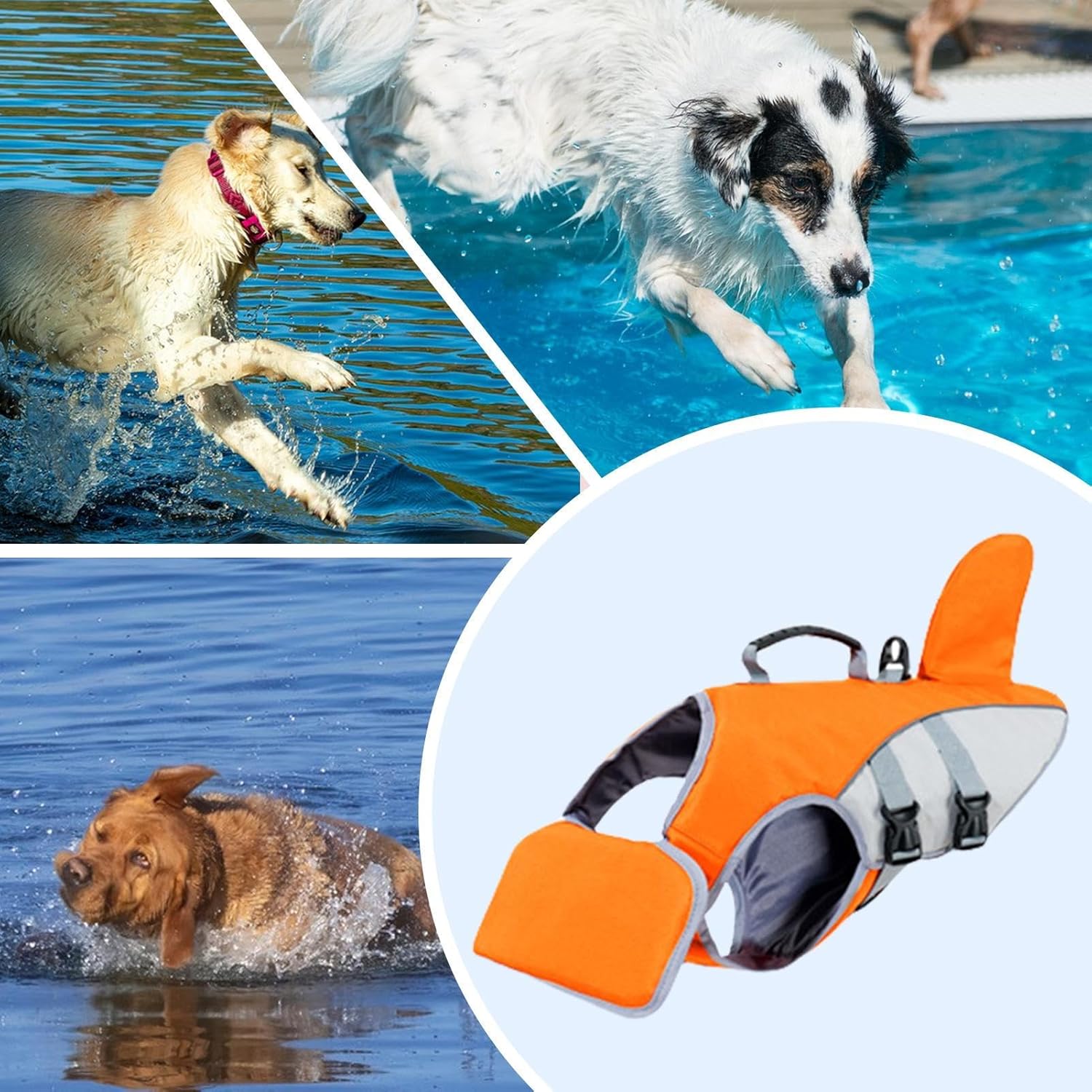 Collage of dogs playing in water with an inset of an orange dog life jacket at Pet Servo