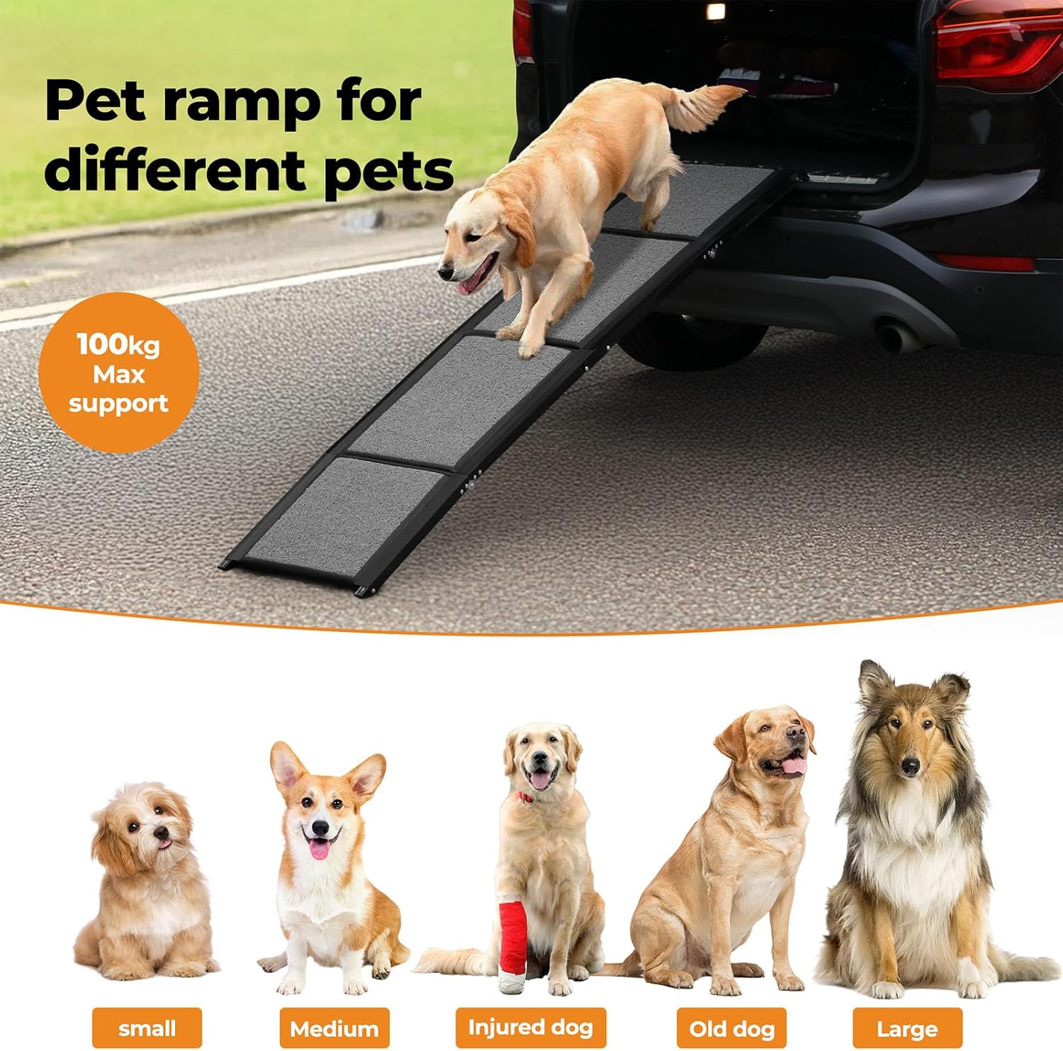 A pet ramp with black textured steps and a black frame is shown being used to lift a golden retriever out of a car on a paved road. The image includes marketing text ('Pet ramp for different pets', '100kg Max support') and a row of smaller dog photos labeled small, medium, injured dog, old dog, and large, demonstrating scale for different pet sizes at Pet Servo