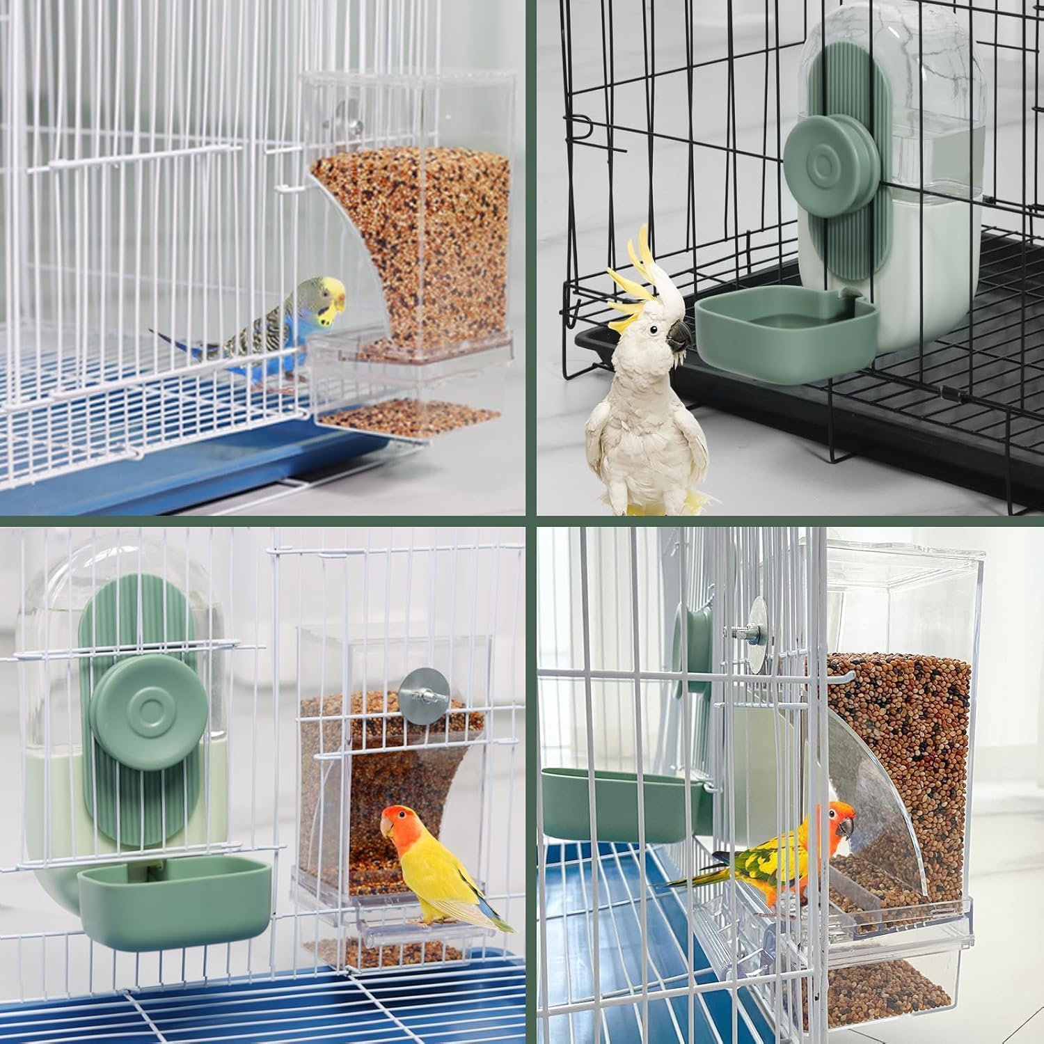 Collage of a bird cage with various accessories and a parrot inside at Pet Servo